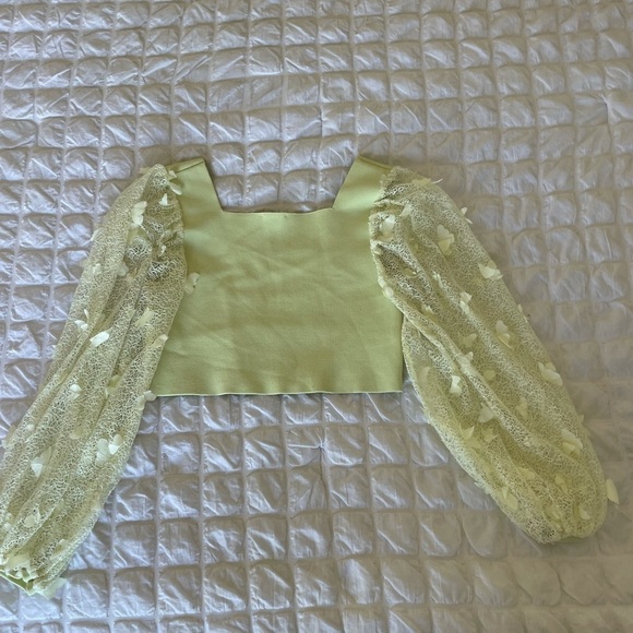 Free People butterfly sleeve ribbed crop top - Picture 9 of 11